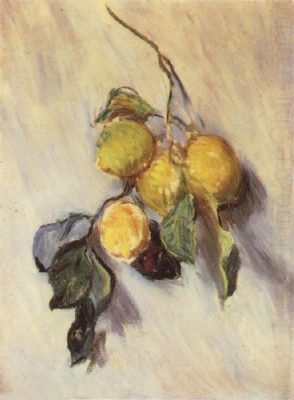 Claude Monet Branch from a Lemon Tree china oil painting image
